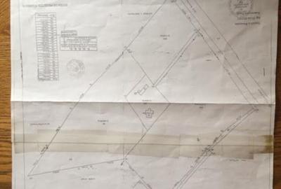 Teren de vanzre in Pitesti 53.000 mp + Conac Boieresc - 8