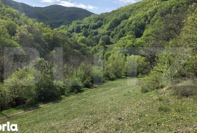 Teren de 9083 mp, în Meteș - 7