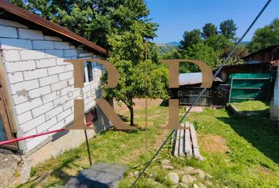 Teren 532 MP si Anexe de Vanzare * Poiana Campina* - 11
