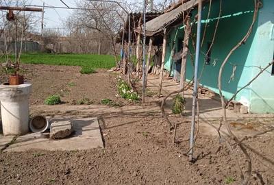 Casă cu 3 camere în Leu - 5