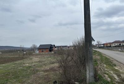 Teren de 720 mp, în Plavia - 3