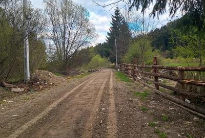 Teren de 21000 mp, în Slatina - 7