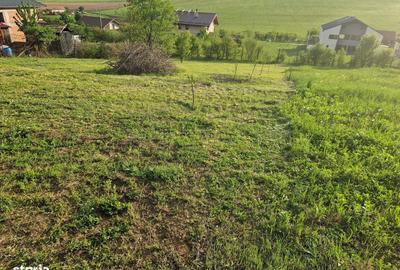 Teren de 1250 mp, în Șura Mare - 5