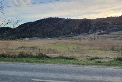 Teren intravilan de 10000 mp, în Cândești - 3
