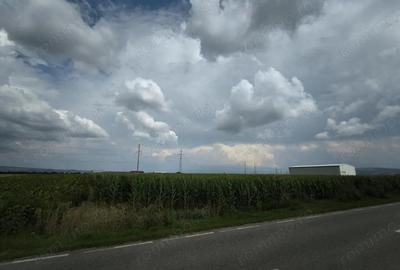 Teren industrial - 6