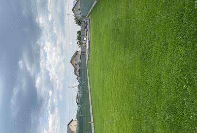 Casă cu 2 camere în Strejnicu - 2