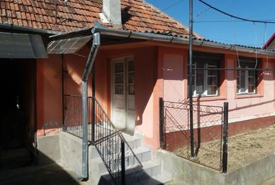 Casă cu 4 camere cu Teren 2082 Mp în Vadu Crișului - 9