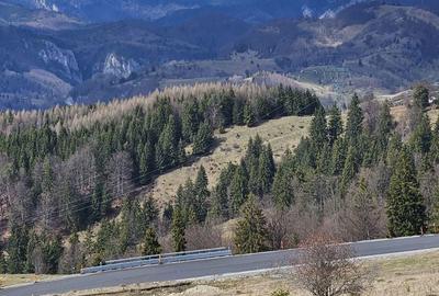 Spațiu comercial, în Dâmbovicioara - 5