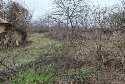 Casa batraneasca de vanzare com. Faraoani jud . Bacau - 2