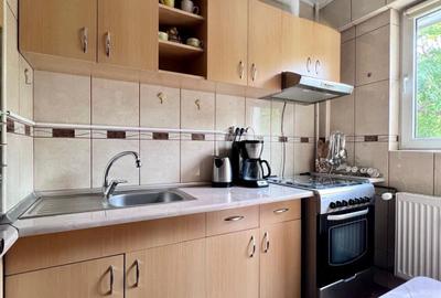 Garsoniera Titan | Parcul Constantin Brancusi - 9