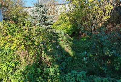 Casa 3 camere libera la vanzare STUPINI - 18