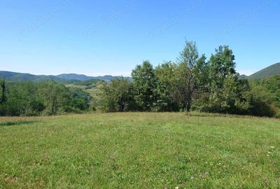 Teren de 8757 mp, în Luncoiu de Sus - 7