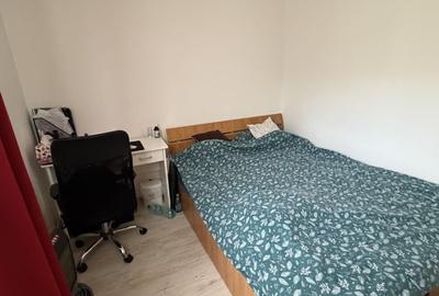 Apartament cu 2 camere decomandat, mobilat în Lujerului - 3