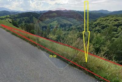 Teren de 2000 mp, în Peștera - 11