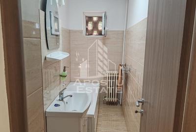 Apartament cu 3 camere semidecomandat, mobilat în Dacia - 14