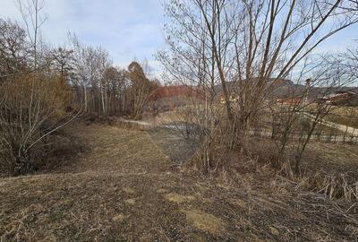 Teren Plaiu_Provita de Sus- intravilan 5373 mp_deschidere... - 4