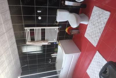 Casa de vanzare str Kaffka Margit - 7