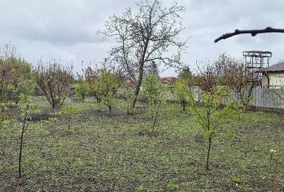 Teren de 300 mp, în Lazu - 1
