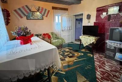 Doua Case pe Acela?i Teren in Cucorani Proprietate Unica, Aproape de Boto?ani - 4