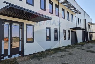 Spațiu industrial, de 2,645 mp, în Balotești - 3