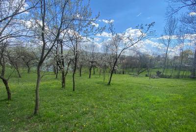 Spațiu comercial, în Pietriceaua - 7