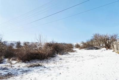 Teren Construcții intravilan de 1290 mp, în Central - 1