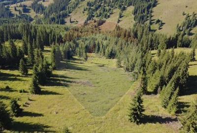 Teren de 24581 mp, în Panaci - 21