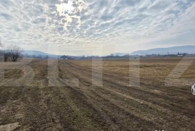 Teren de 7200 mp, în Central - 2