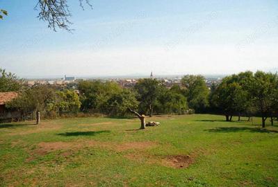 Teren Extravilan/Intravilan 3290 mp Codlea - 6