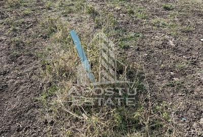 DE VANZARE – Teren 758 mp, zona Metro 2 – cu potential excelent de dez - 2