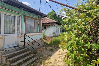 Ramnicu Valcea, Poenari - 3