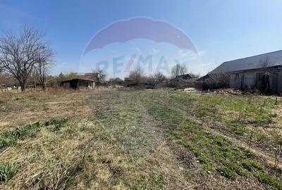 Teren Intravilan Gruiu - Snagov / Strada Mihai Eminescu