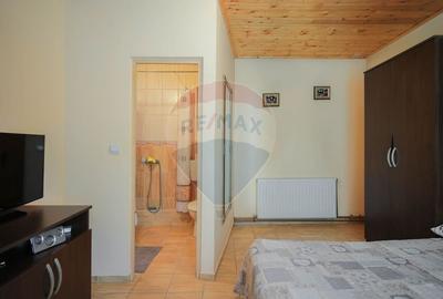 Casa si teren de 1397 mp de vanzare in Ineu, la 18 km de Oradea - 32