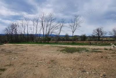Teren de 26500 mp, în Calea Caransebeșului - 1