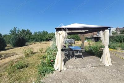 Casă cu 5 camere cu Teren 1763 Mp în Șag - 4