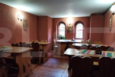 Pensiune 6 camere duble + 1 apartament + garsoniera Sinaia - 27