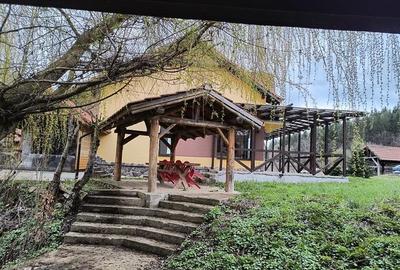 Oportunitate! Casa deosebita cu 2980 mp teren in Vulcan, Brasov - 45