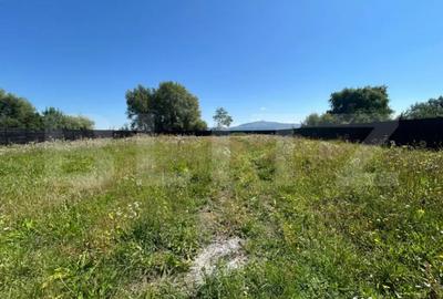 Casă cu 4 camere cu Teren 3233 Mp în Prejmer - 2