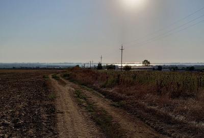 Teren pentru Parc Logistic, hale - Ovidiu - 7