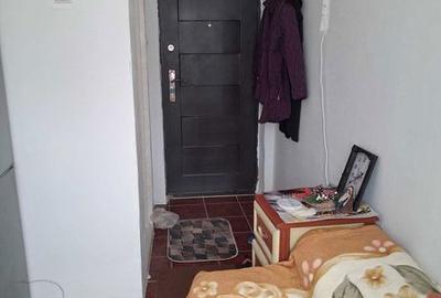 Garsonieră în Viile Noi - 1