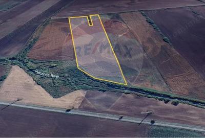 Teren de 40000 mp, în Nord - 7