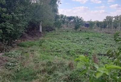 Casa locuibila in Che?a! - 5