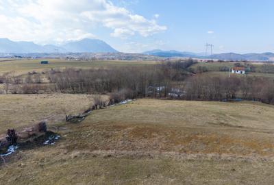 Teren Construcții intravilan de 5783 mp, în Bran - 13