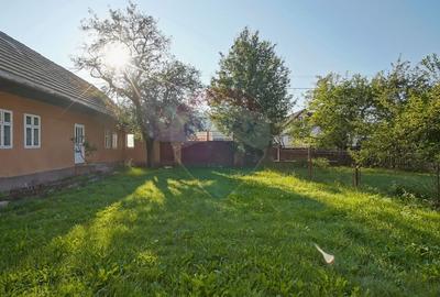 Casă cu 3 camere cu Teren 7255 Mp în Vama Buzăului - 6