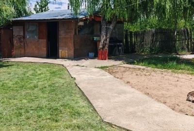 Casă în Moșoaia - 5