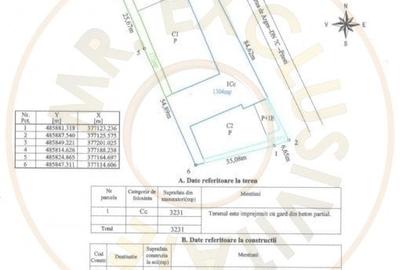 Inchiriere hala noua zona Bascov la DN 7C - 13