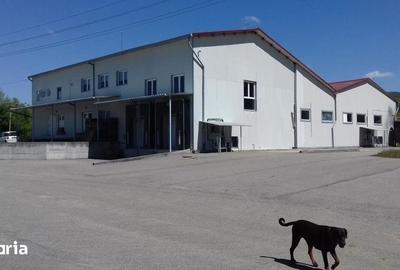 Spațiu comercial, de 1,712 mp, în Baia de Criș - 4