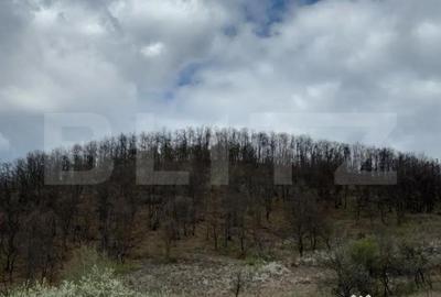 Teren de 19100 mp, în Central