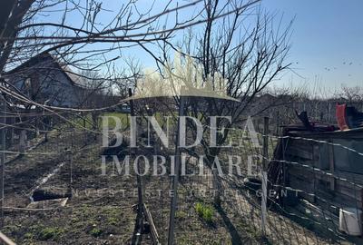 Casă individuală cu 6 camere cu Canalizare în Giarmata - 11