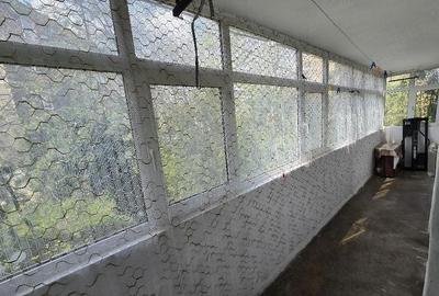 Apartament cu 3 camere decomandat în Vest - 10